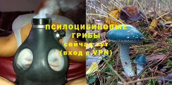 марки nbome Бородино