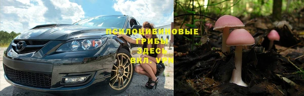 марки nbome Бородино